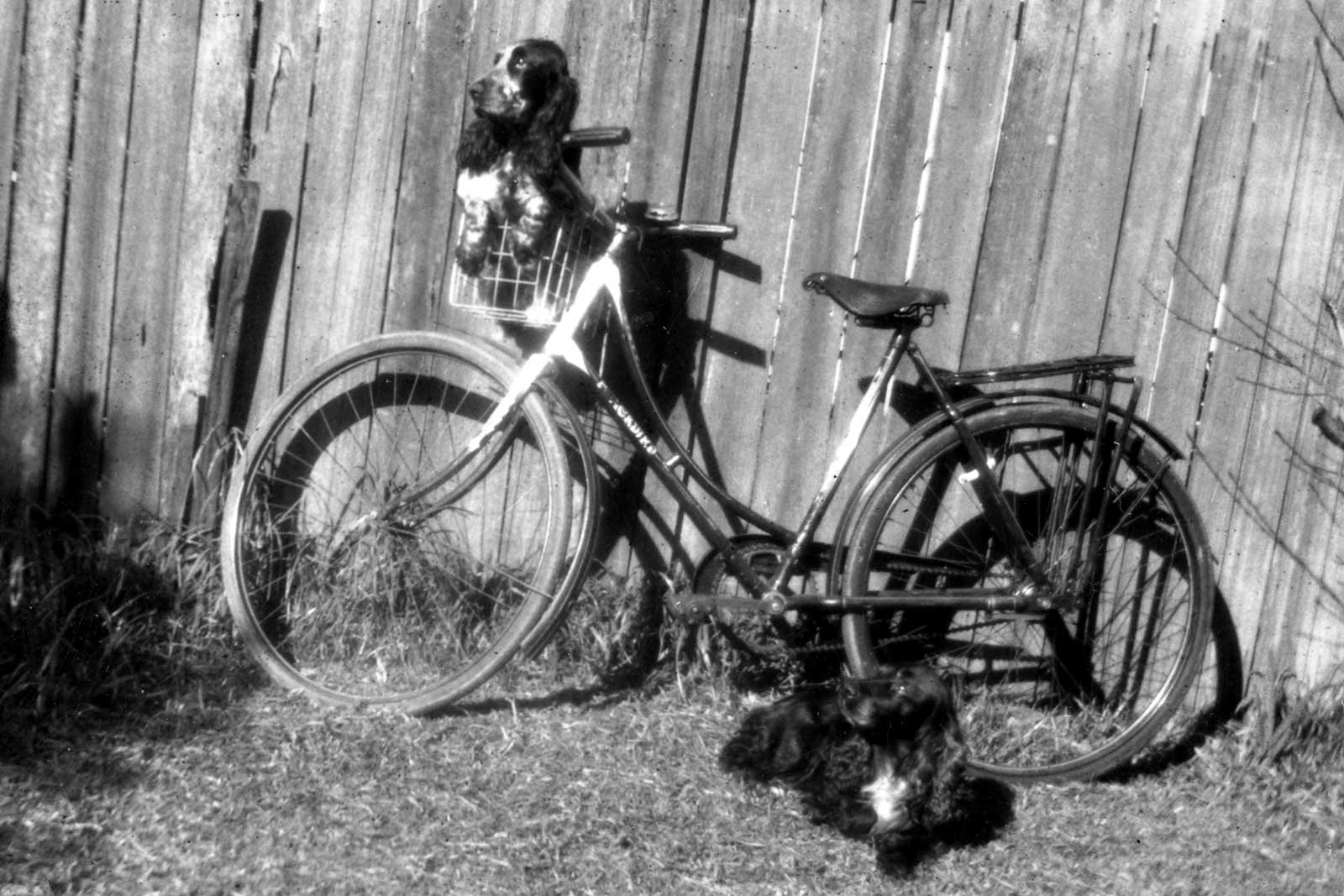 Winnie and George on a bicycle