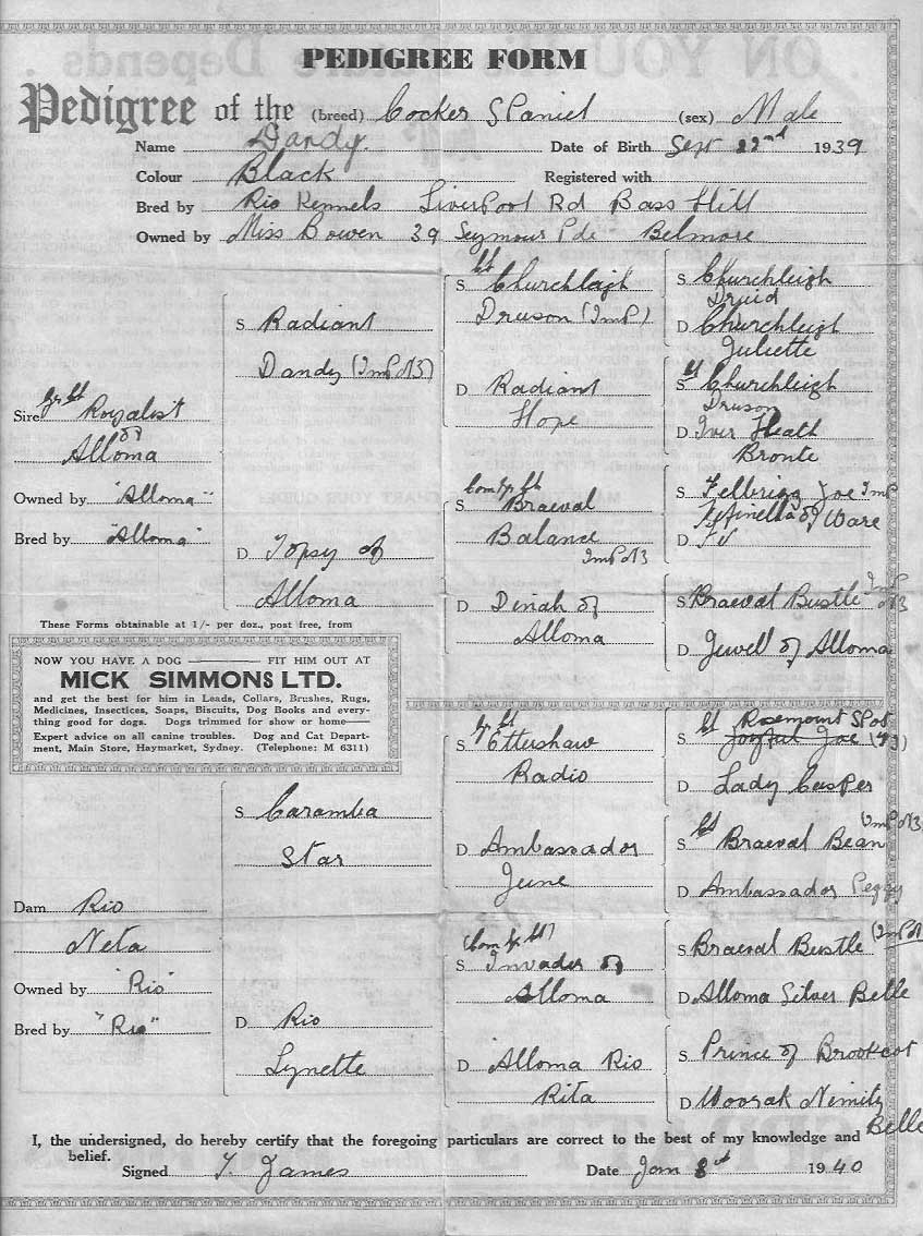 George's Pedigree