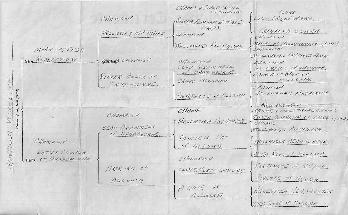 Winnie's Pedigree