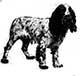 Ottershaw Radio