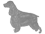Cocker Spaniel