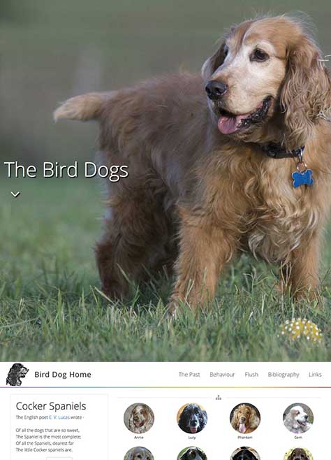 The Bird Dogs