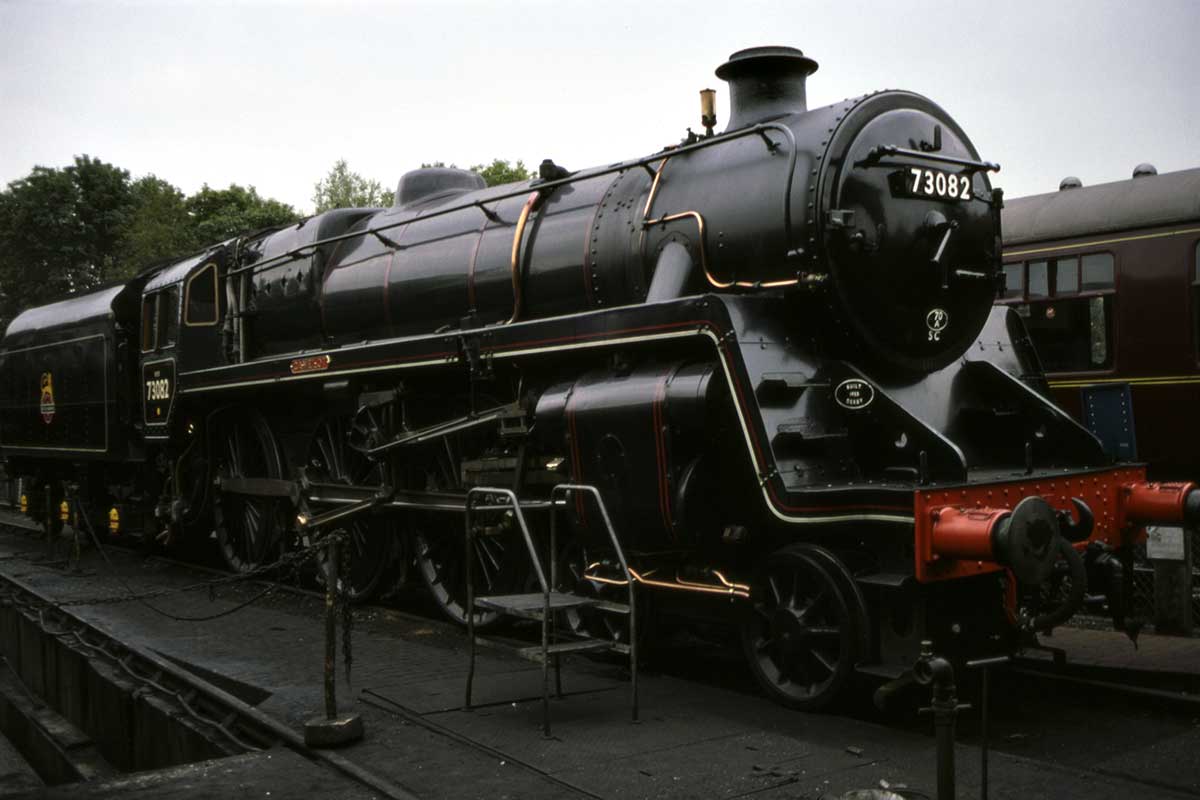 Bluebell